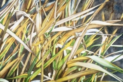 High Summer. Watercolour on paper, 22" x 30". Private Collection