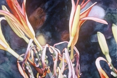 Lorna's Daylilies #2. Watercolour on paper, 11" x 15". Private Collection