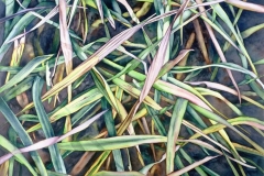 Grasslands Jungle. Watercolour on paper, 22" x 30". Private Collection