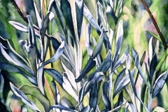 Sage Blues and Greens. Watercolour on paper, 30" x 22". Private Collection