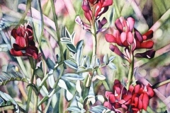 Edge of the Coulee. Watercolour on paper, 30" x 22". Private Collection
