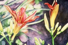 Lorna's Daylilies #1. Watercolour on paper, 11" x 15". Private Collection