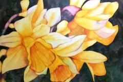 Spring in Flight. Watercolour on Aquabord, 11" x 14". Private Collection