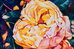 Garden Notes - Promise. Watercolour on Aquabord, 8" x 10", 2017. Private Collection