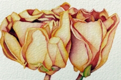 2024-Paper-Roses-3