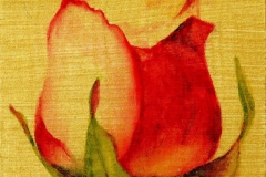 Glimpse-2