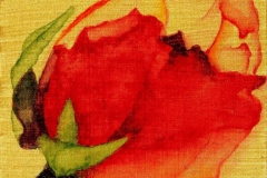 Glimpse-3