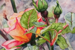 1_2025-Irish-Rose-2-scaled