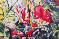 Postcards from a Prairie Garden - Sweet Peas in Sunshine. Watercolour on Aquabord, 11" x 14"