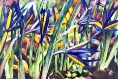 Spring At Last. Watercolour on Aquabord, 8" x 10" (SOLD)