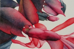 Winter Blossoms # 1. Watercolour on paper, 7" x 5", framed