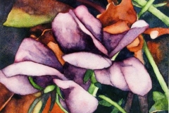 Garden Notes: October #1 . Watercolour on Aquabord, 6" x 6"