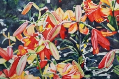 Lilies Alone. Watercolour on Aquabord, 24" x 18"