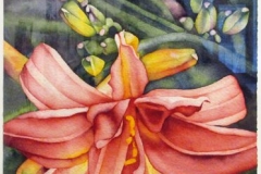 Lilies of the Garden #1. Watercolour on paper, 15" x 11"