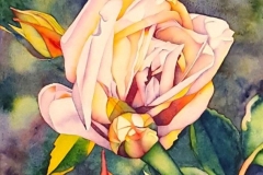 Remembering-Roses-Beginnings-2025