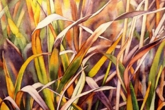 Riversedge: Grasses in Autumn. Watercolour on paper, 30" x 22"