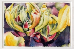 Postcards From Galloway: Castle Kennedy #2. Watercolour on paper, 4" x 6"